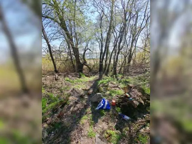 MargoritaRush7's Thumb Image