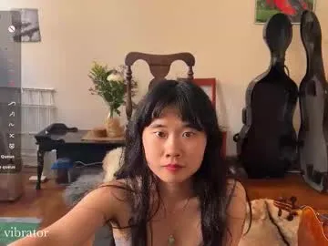 chiloschista Image 12