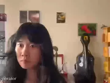 chiloschista Image 16