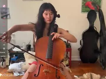 chiloschista Image 8